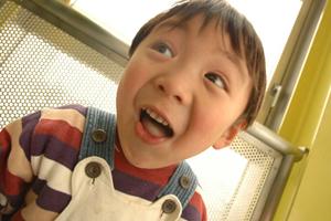 お勧めのスカイプ英会話について